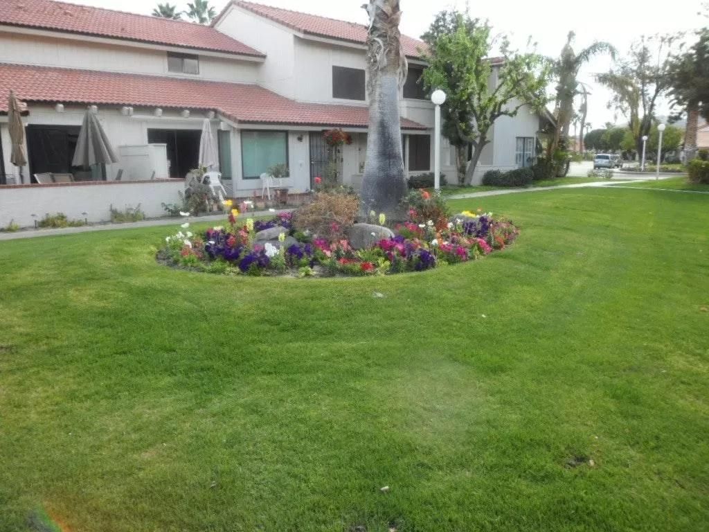 6112 Arroyo Rd #3, Palm Springs, CA 92264