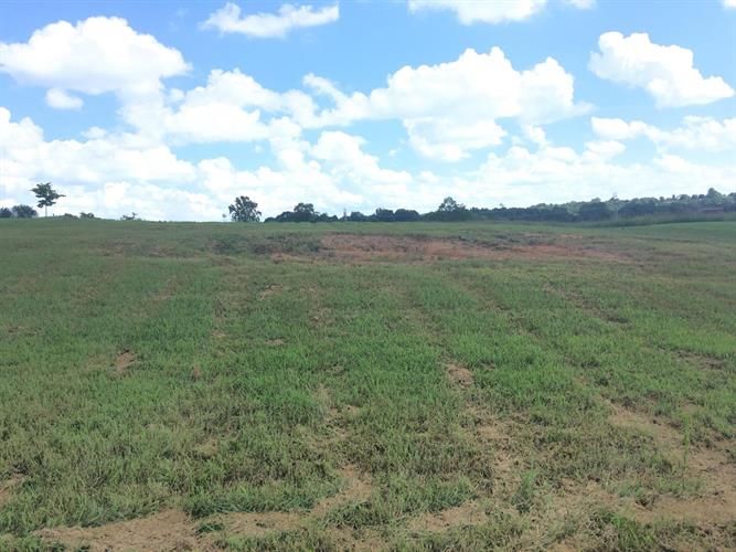 191 Johnny Dr, Science Hill, KY 42553 Trulia