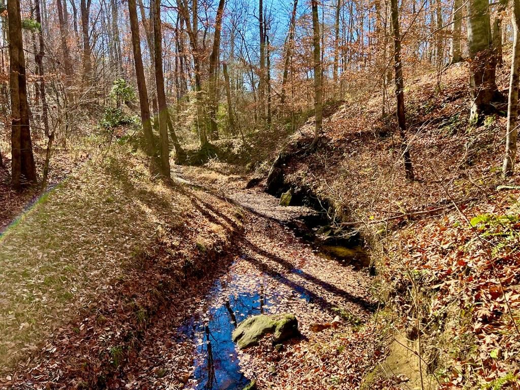 Lunenburg County Rd, Keysville, VA 23947 MLS 52072 Trulia