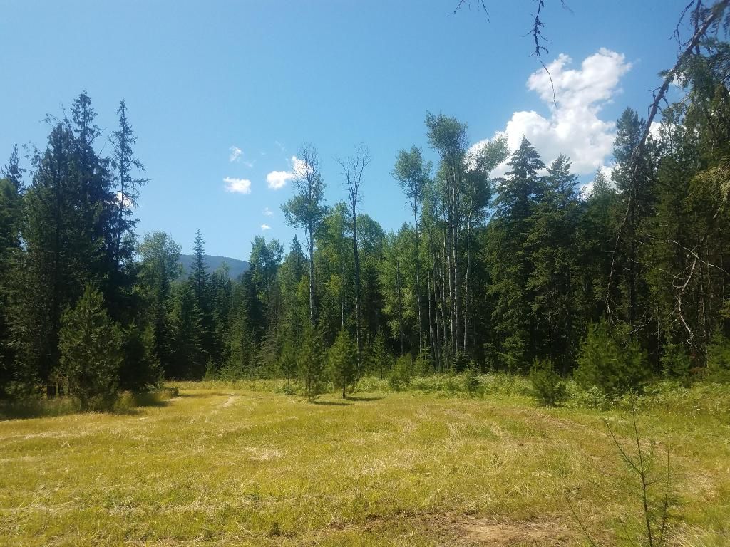 Nhn Country Rd, Noxon, MT 59853 Trulia