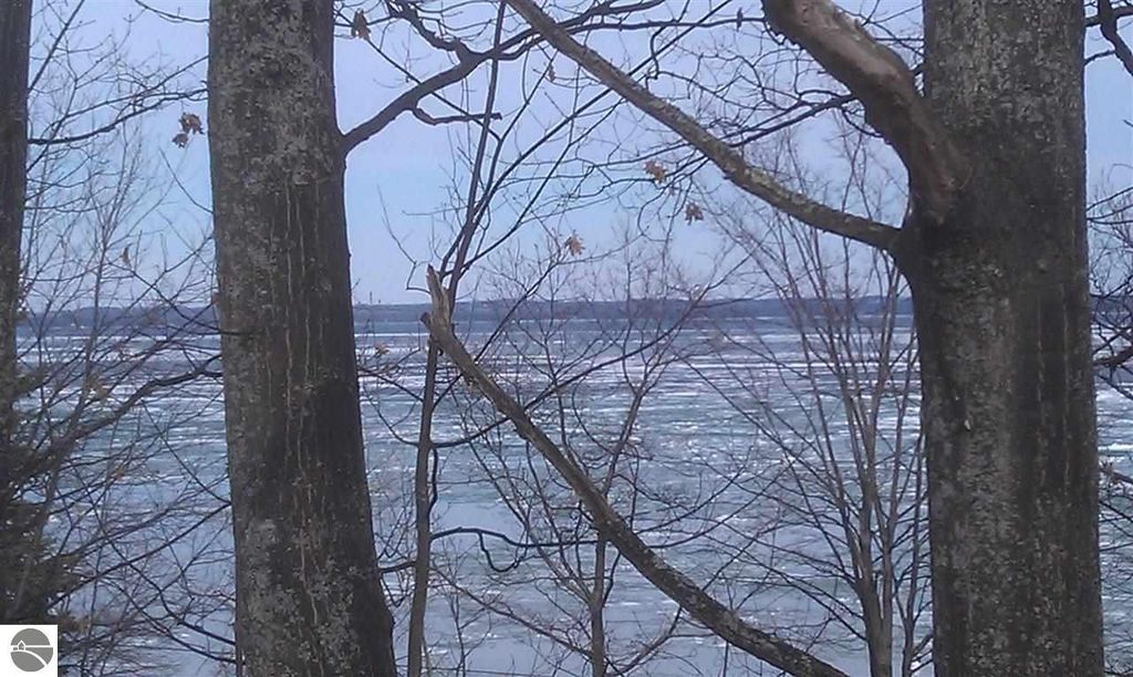 Smokey Hollow Rd #1890588, Traverse City, MI 49686