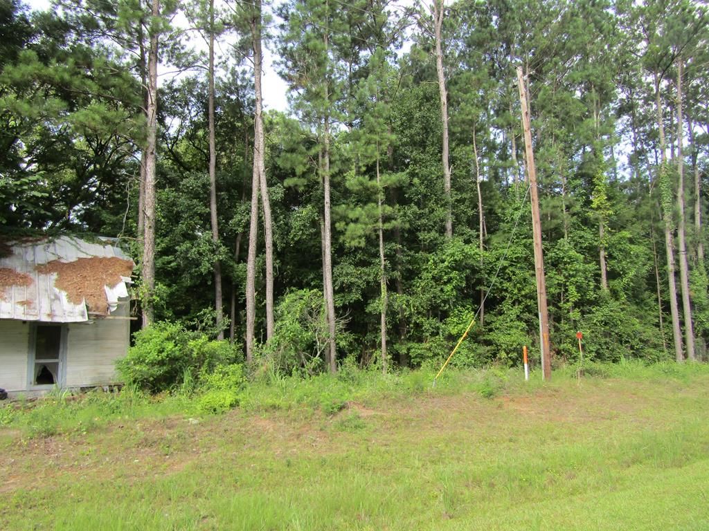 N Griffin Ave, Attapulgus, GA 39815 Trulia