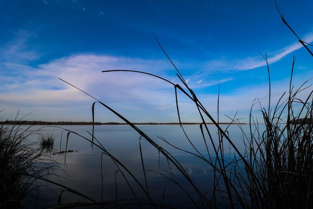 Lot 4 Lakeshore Dr, Bainbridge, GA 39819 Trulia