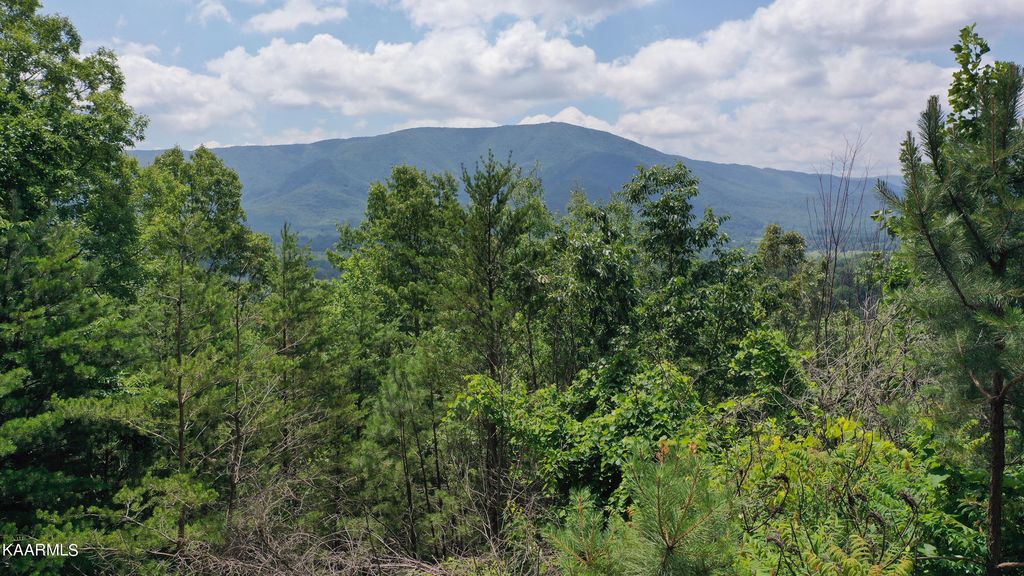 Lot 21 Whipoorwill Hill Way, Sevierville, TN 37862