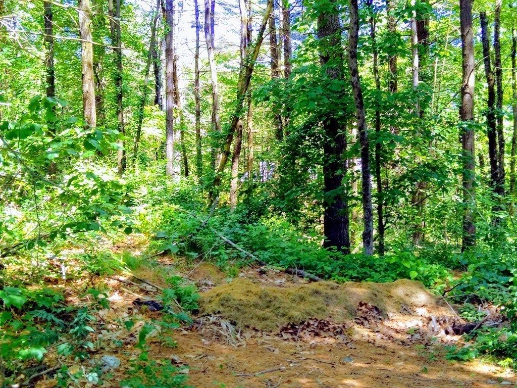 Sunny Brook Dr, Monson, MA 01057 Trulia