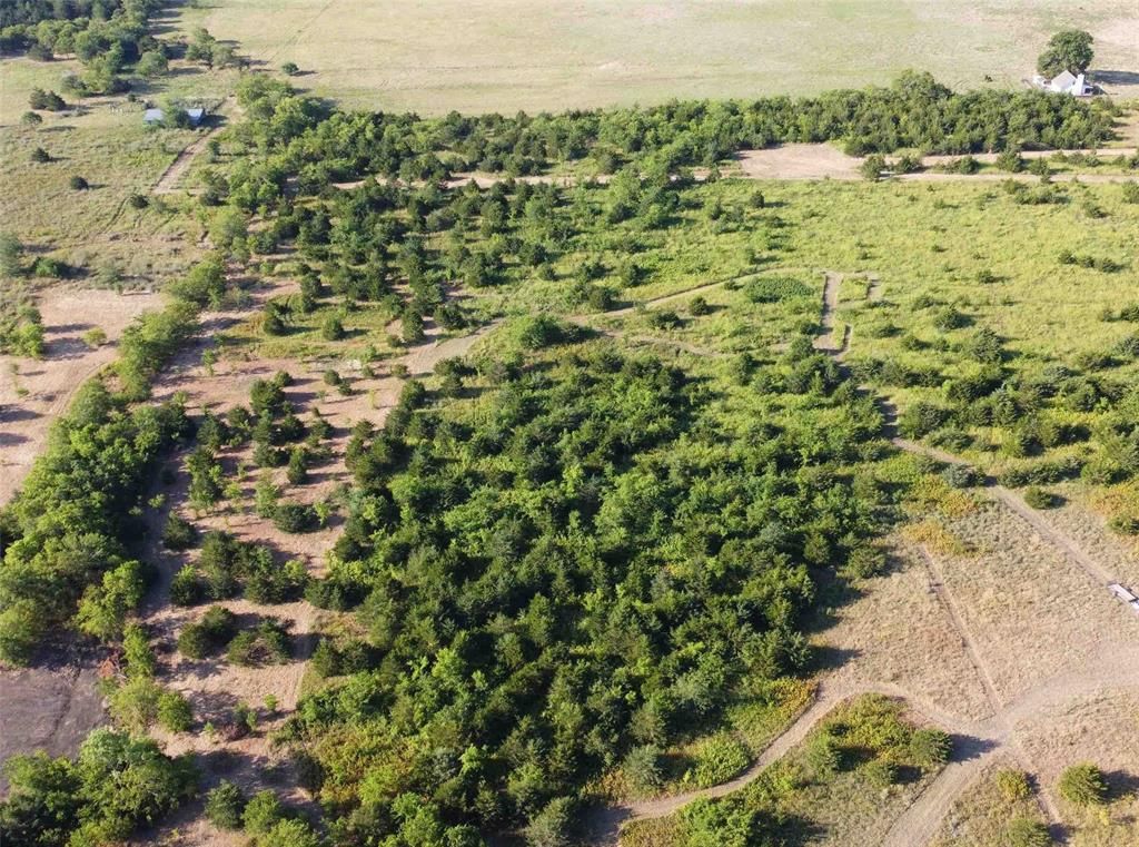 3425 County Rd 3, Honey Grove, TX 75446 Trulia