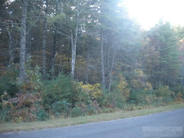 Lot 2 Pine Chase, Glade Valley, NC 28627