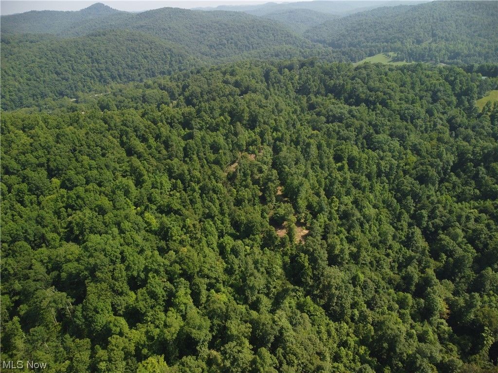 1 Woodland Dr, Ivydale, WV 25113 Trulia