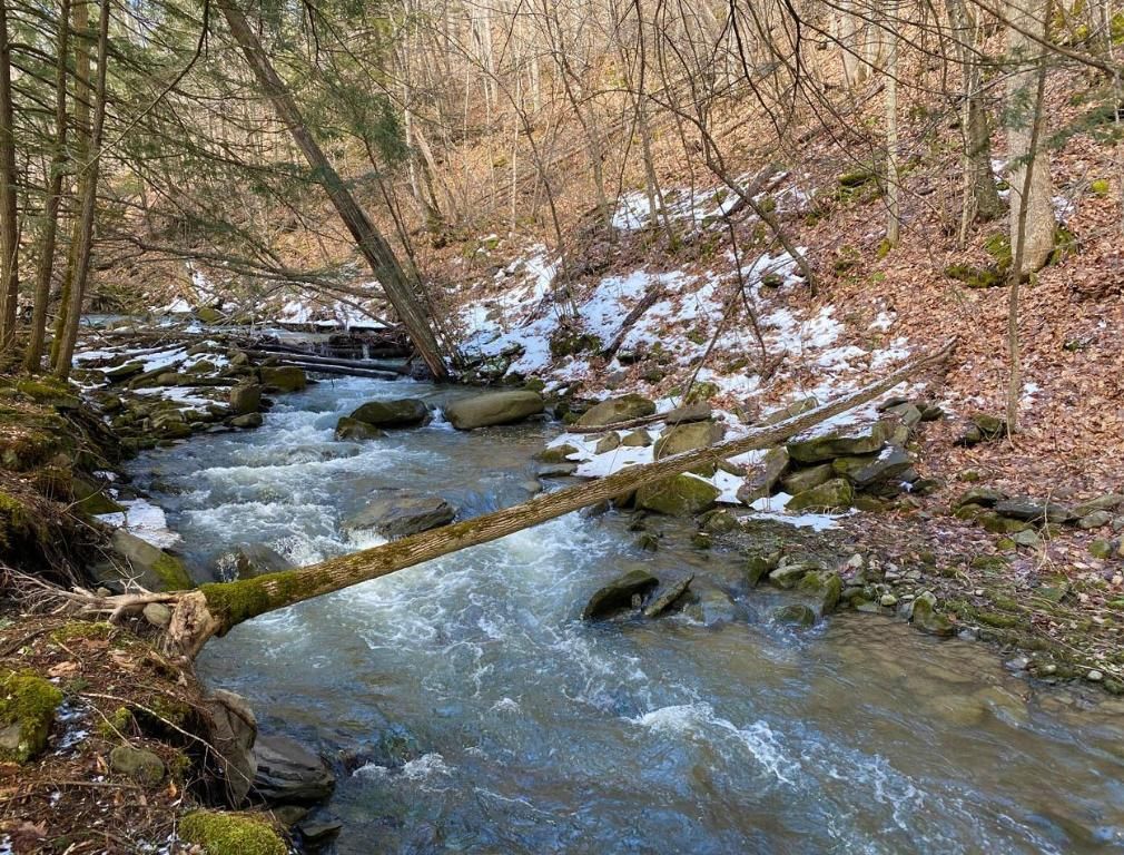 1323 North Rd, North Blenheim, NY 12131 Trulia