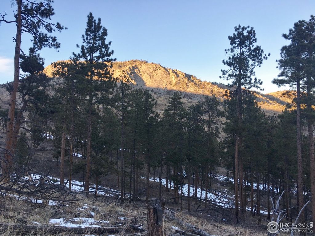Land For Sale Near Drake Colorado