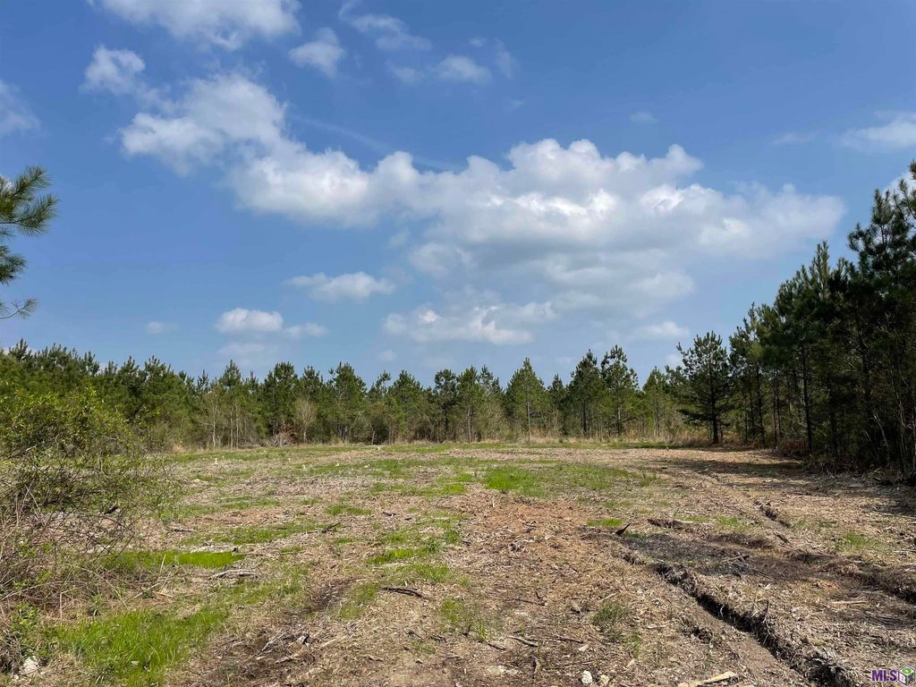 Tract 13 Lorin Wall Rd #13, Holden, LA 70744