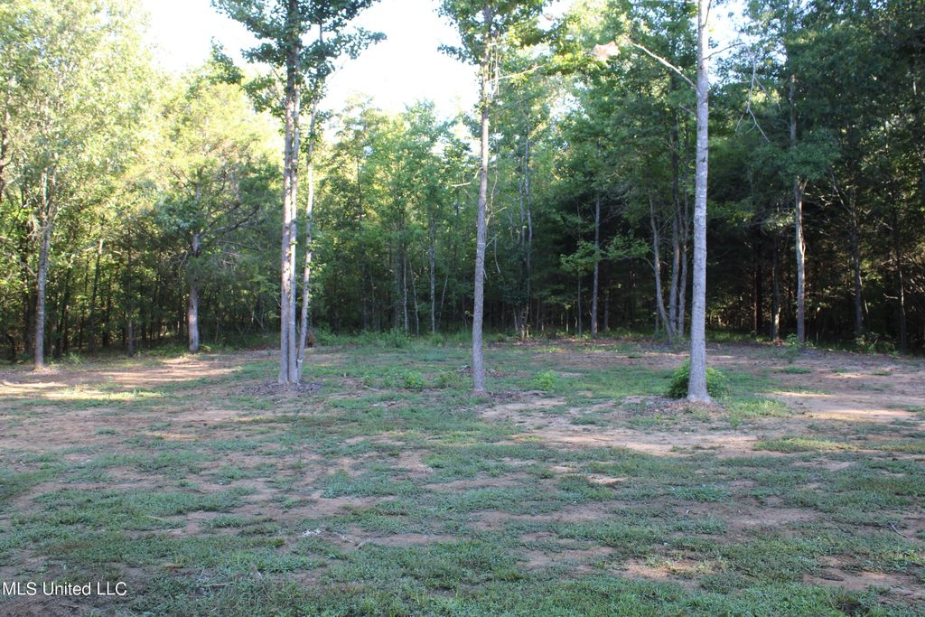 James Black Rd, Byhalia, MS 38611