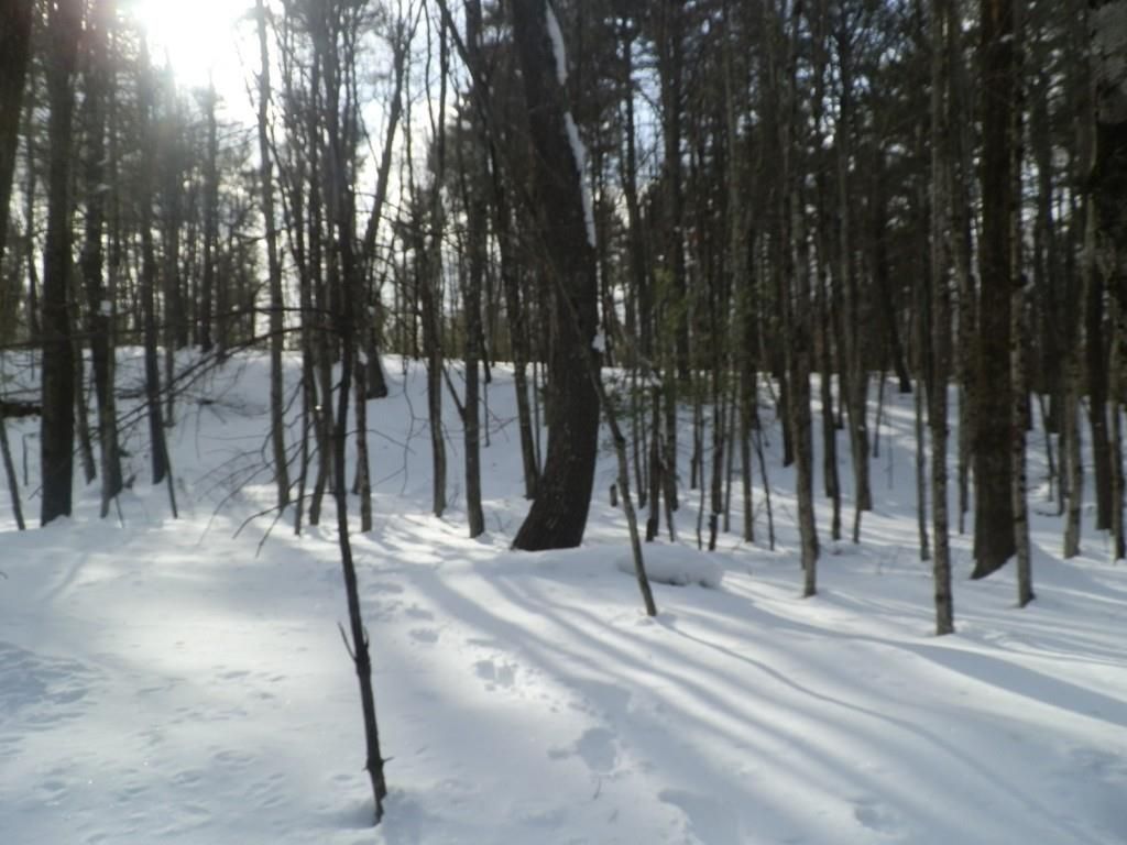 1 West St, Paxton, MA 01612 Trulia