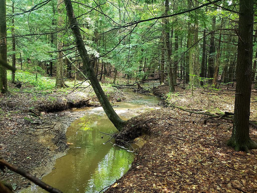 1 Gorman Rd, Gipsy, PA 15741 Trulia