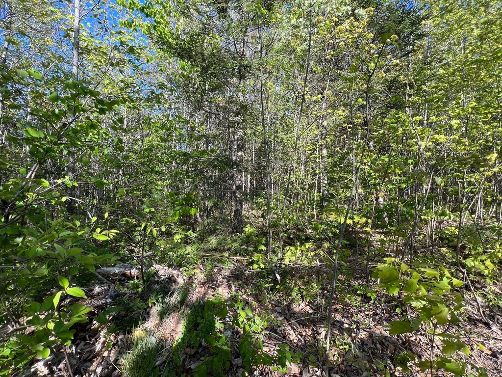 Map 1 Lot 341 Laughton Road Lot 341, Dexter, ME 04930 Trulia