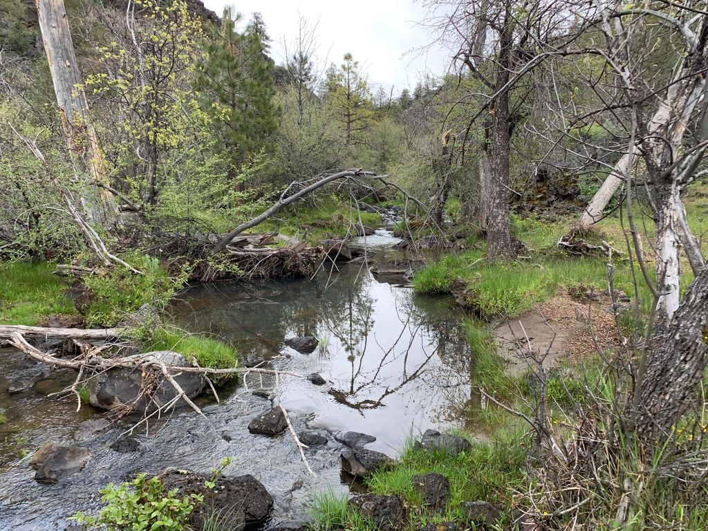 Pitville Rd, Fall River Mills, CA 96028 Trulia