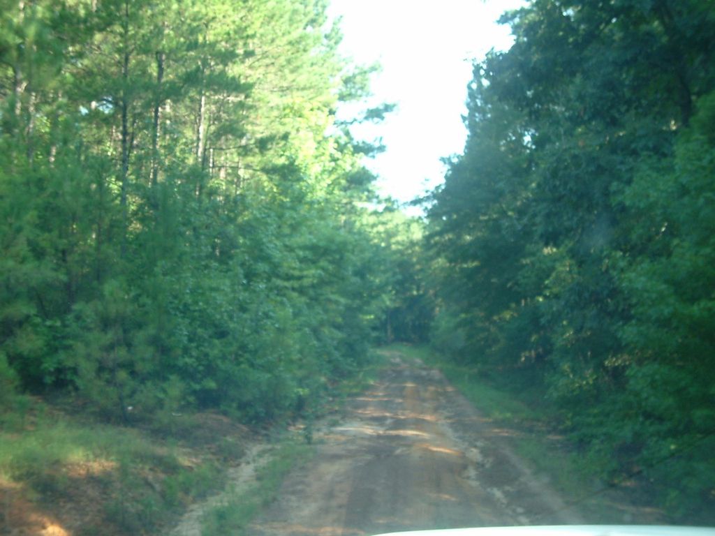 US Highway 259, Mount Enterprise, TX 75681 Trulia