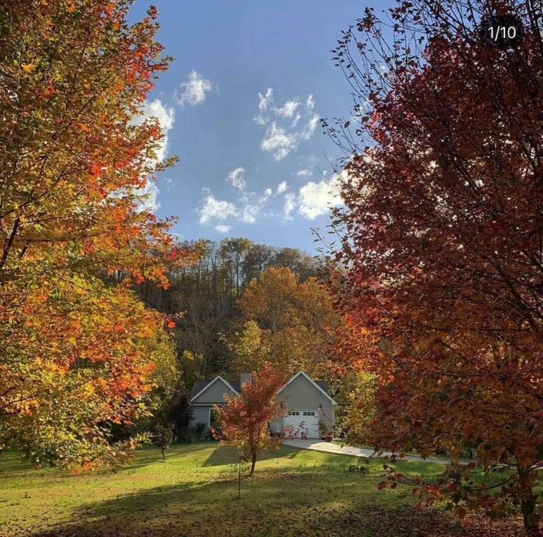 6081 Columbia Rd, Burkesville, KY 42717 Trulia