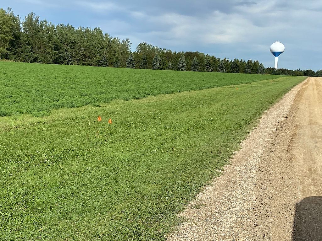 6th Ave S, Clear Lake, SD 57226 Trulia