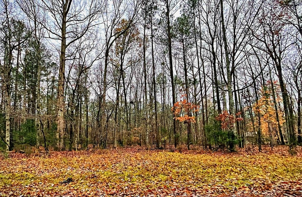 164 Callison Dr, Greenwood, SC 29646 Trulia