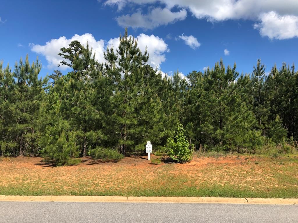 Lot N Fifty Eutaw Springs Trl, North Augusta, SC 29860 Trulia