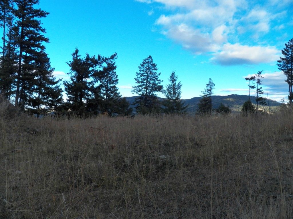 Hungry Hollow Rd, Oroville, WA 98844 Trulia