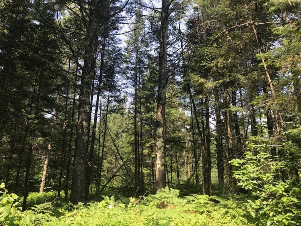 0 Kavanaugh Road, Cable, WI 54821 Trulia