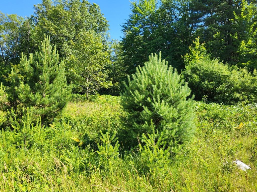 Duck Creek Ln, Whitehall, MI 49461 See Est. Value, Schools & More