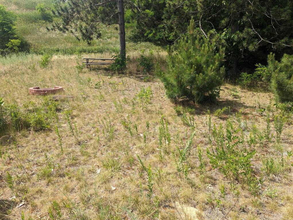 Lt218 BLOSSOM DRIVE, Warrens, WI 54666 Trulia