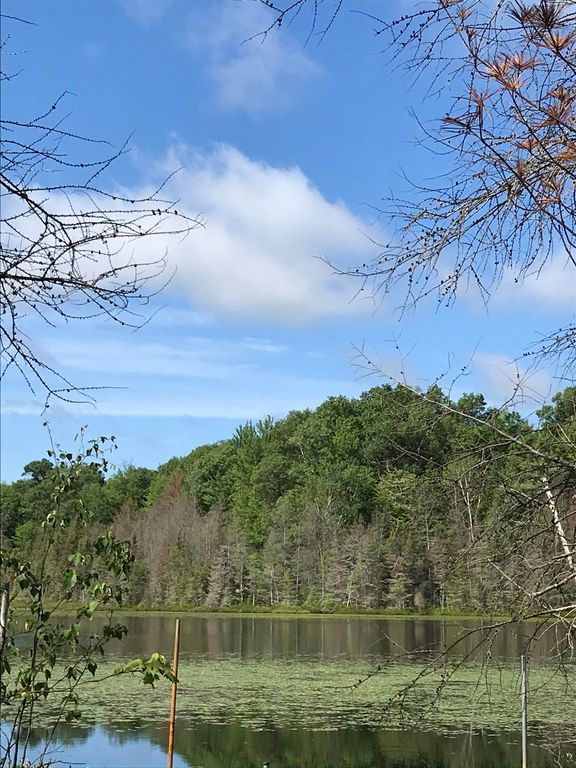 N15497 Town Corner Lake Rd, Amberg, WI 54102 Trulia