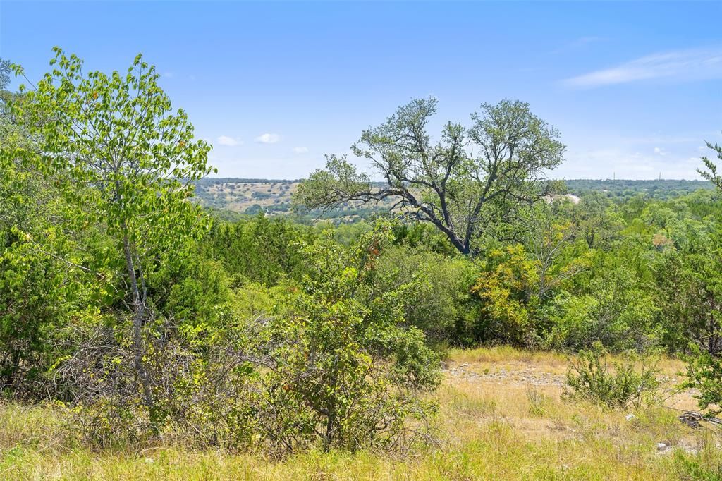 1 Tract Skyline Dr, Stonewall, TX 78671