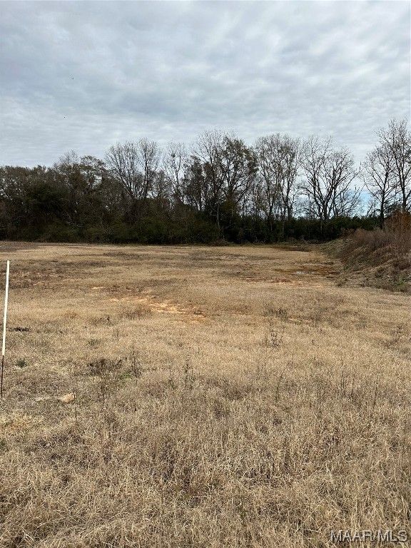 401 County Road 758, Enterprise, AL 36330 Lot/Land for Sale MLS 549178