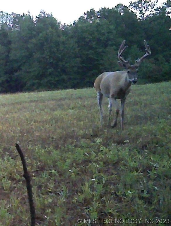 80 E 1910th Rd, Antlers, OK 74523 MLS 2323121 Trulia