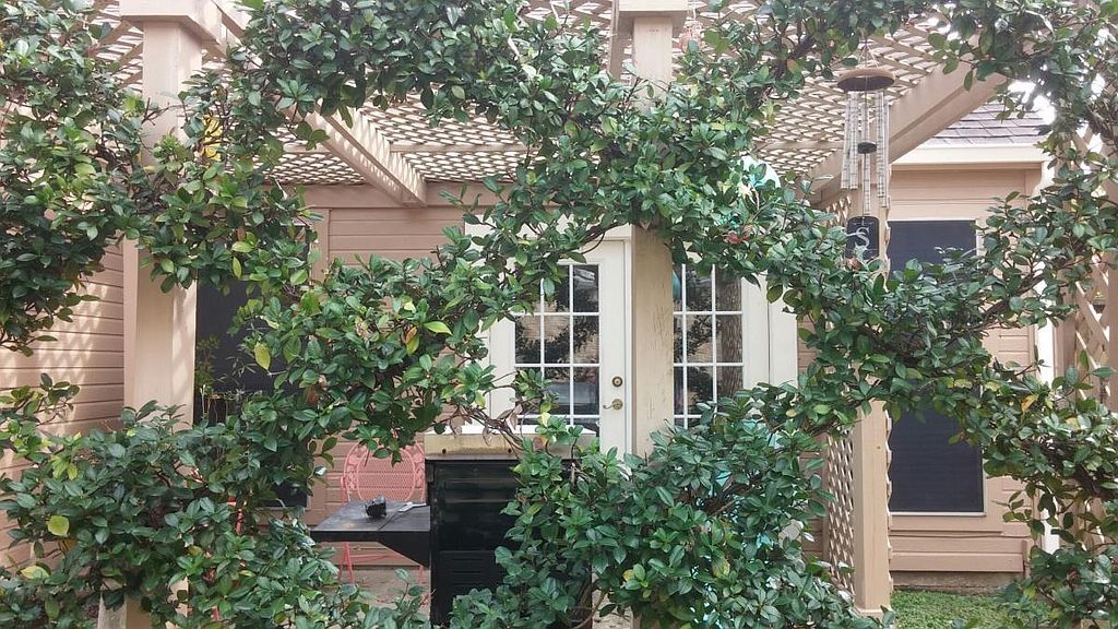 16703 Ivy Grove Dr, Houston, TX 77058