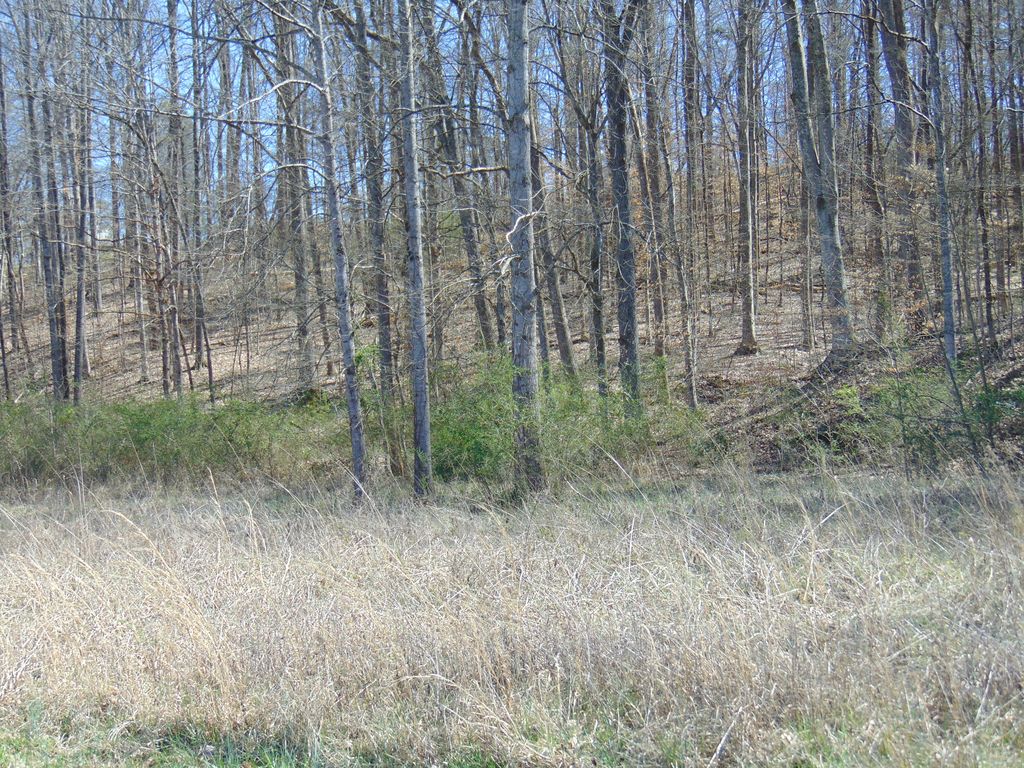 Blockhouse Valley, Clinton , TN 37716 Trulia