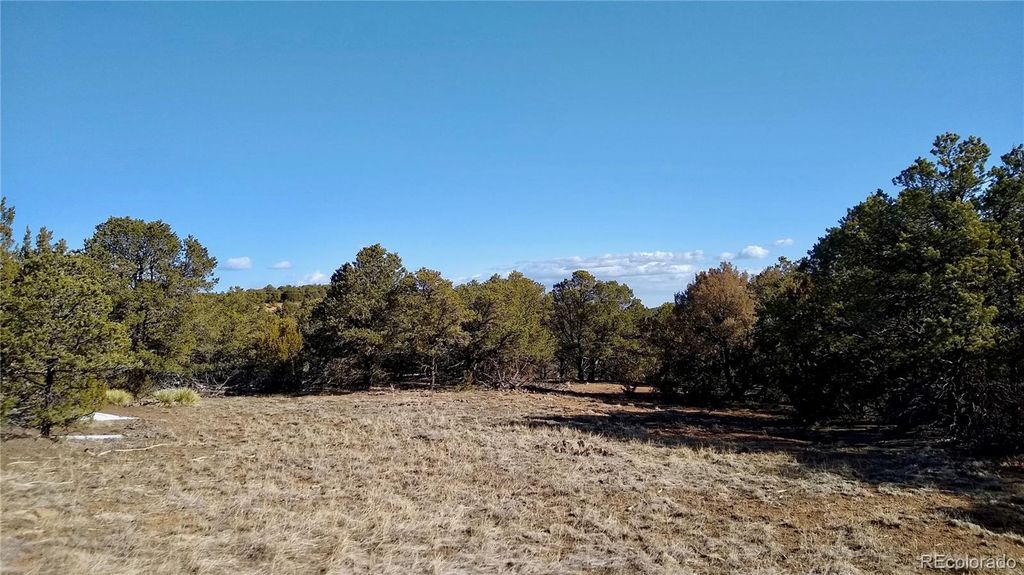 0 Rugby Mines Road, Aguilar, CO 81020 | Trulia