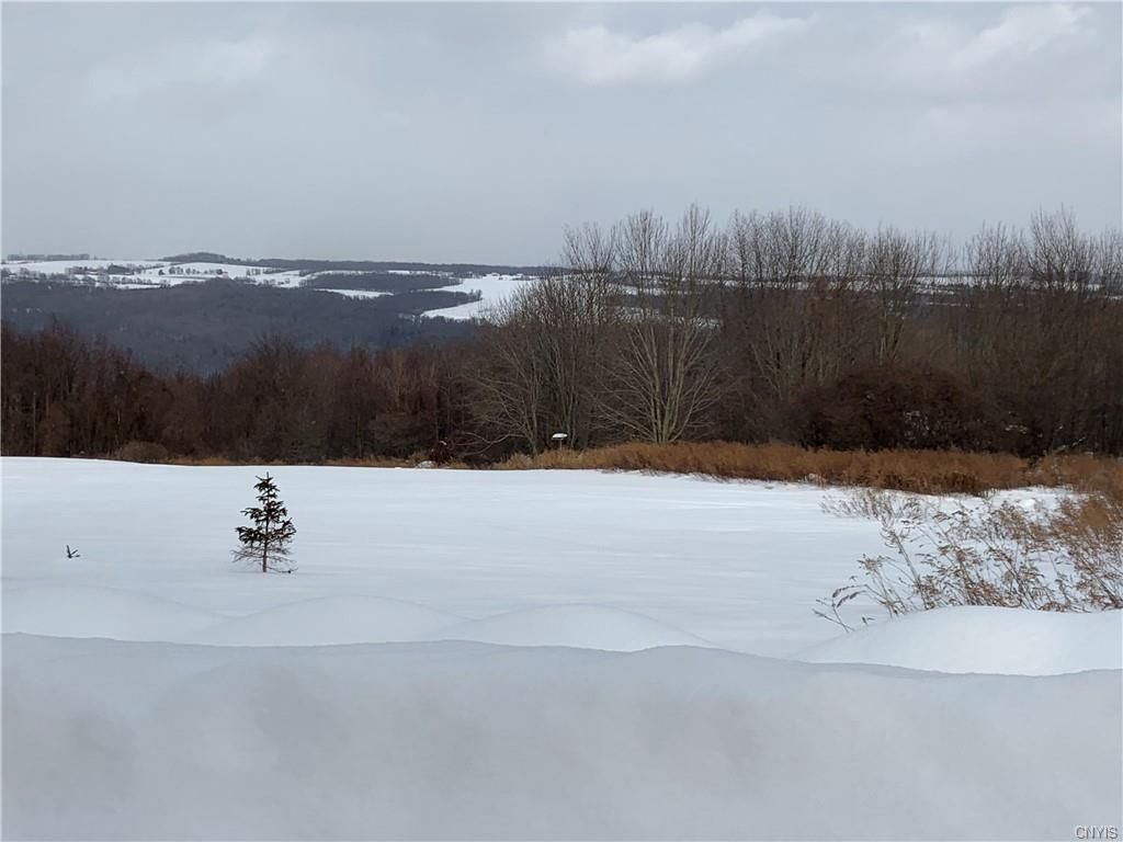 1290 Willowdale Rd, Skaneateles, NY 13152 Trulia