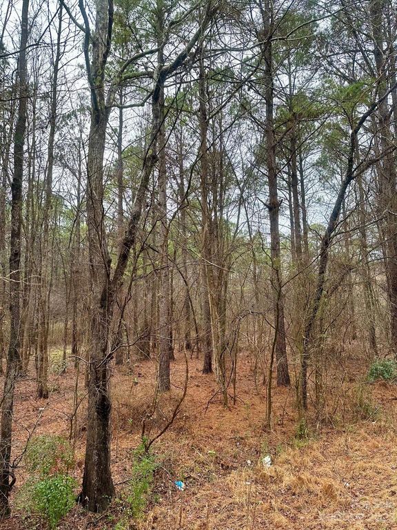 Lot 2 Great Falls Hwy, Chester, SC 29706