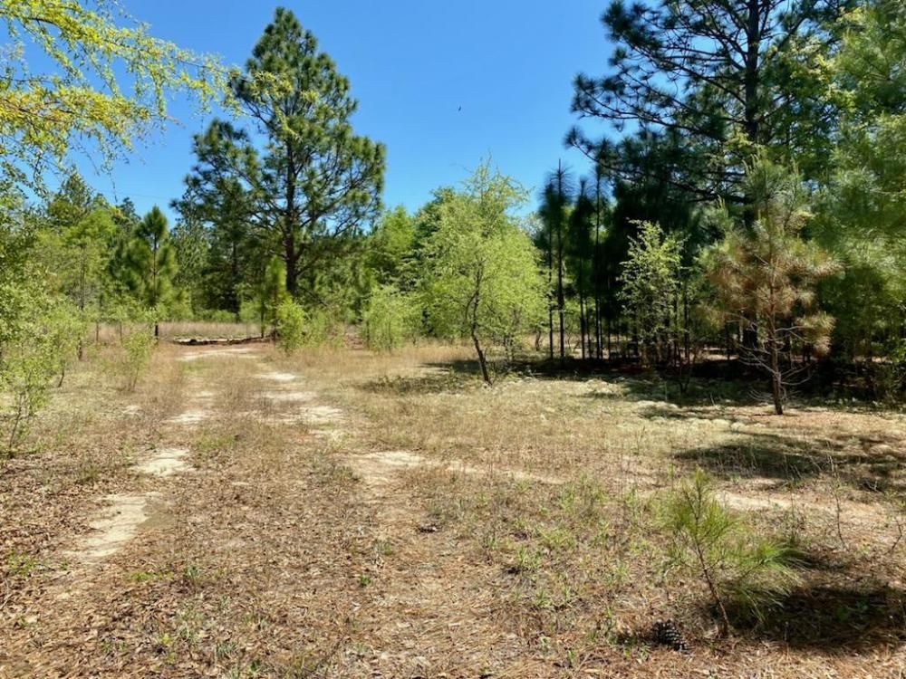 25 King St, Williston, SC 29853 Trulia