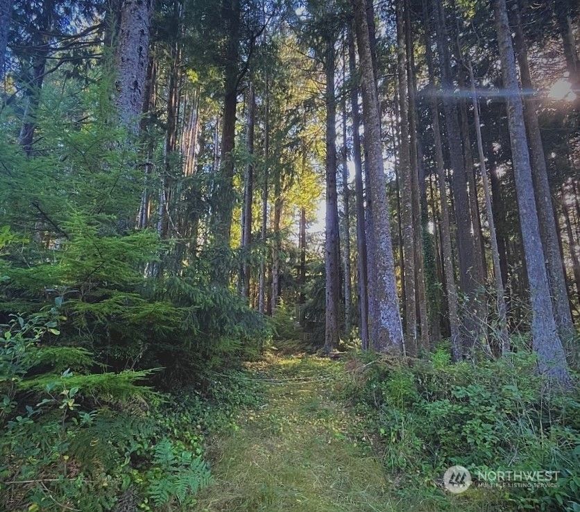 46 Robin Lane, Moclips, WA 98571 Trulia