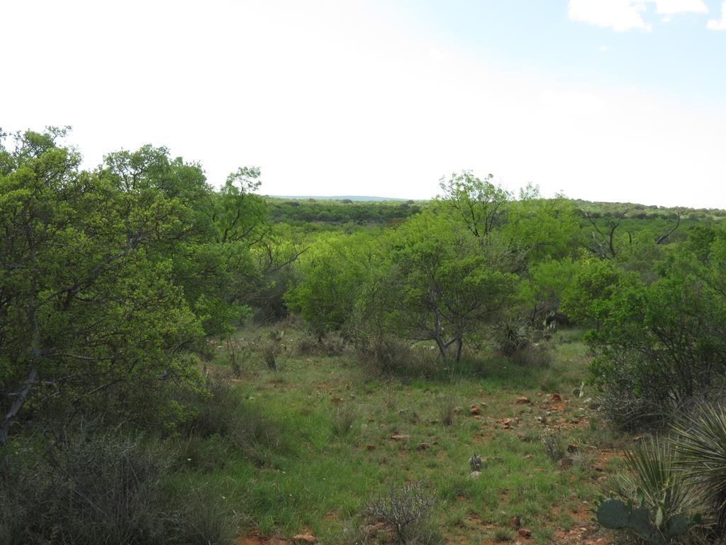 2246 Art Hedwig Hill Rd, Mason, TX 76856 Trulia