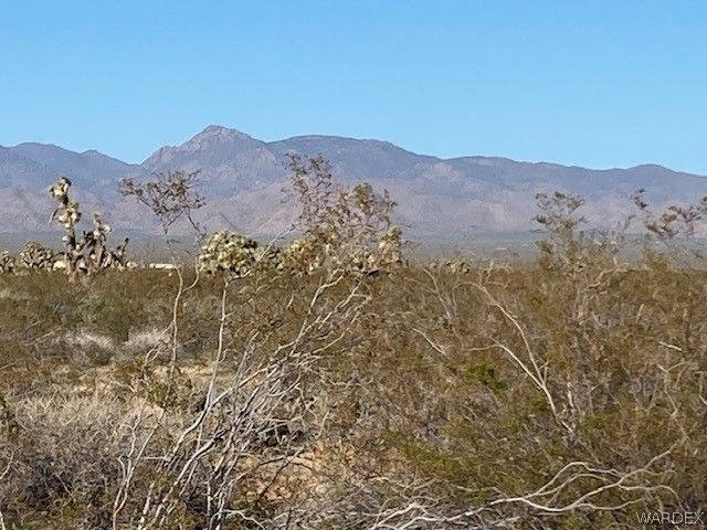 10 E  Mesquite Dr, Yucca, AZ 86438