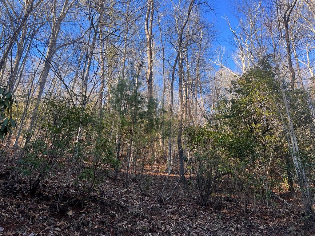 Happy Nest Rd, Sylva, NC 28779 Trulia