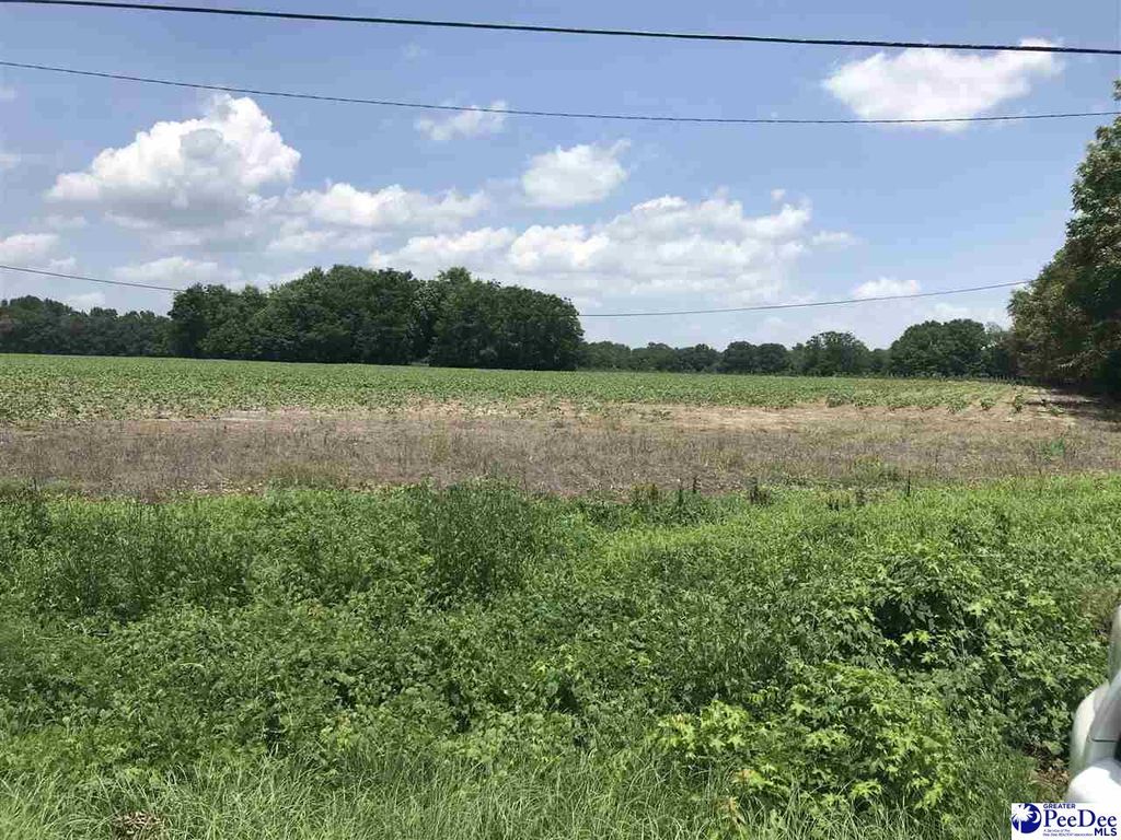 Spring Valley Rd, Hartsville, SC 29550 Trulia