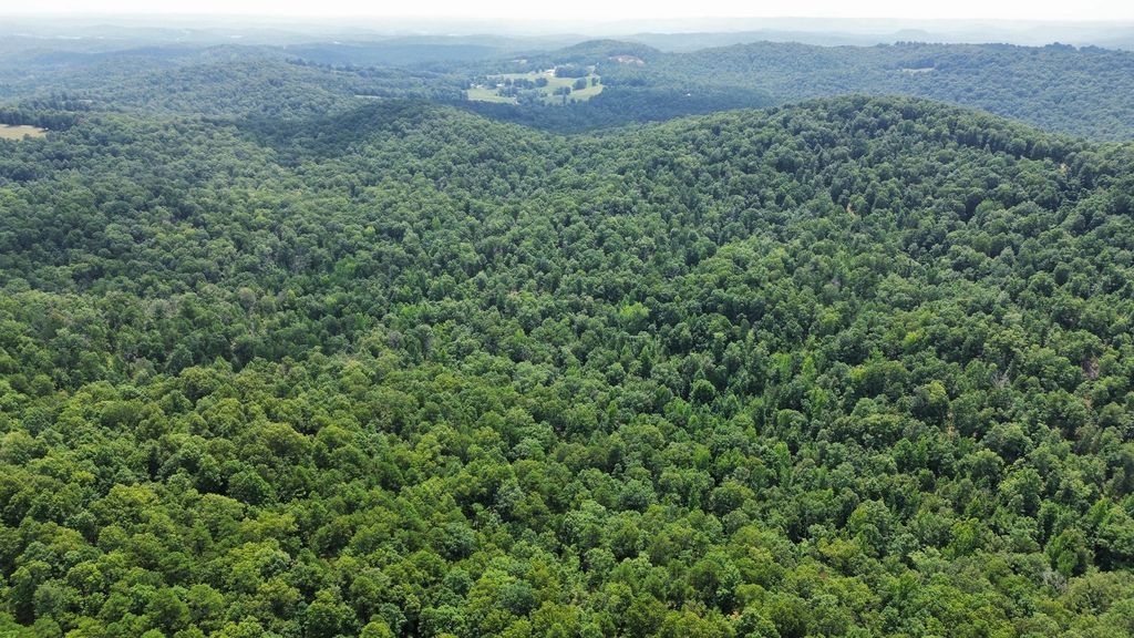 Dreamrider Drive Melbourne AR72556, Melbourne, AR 72556 Trulia