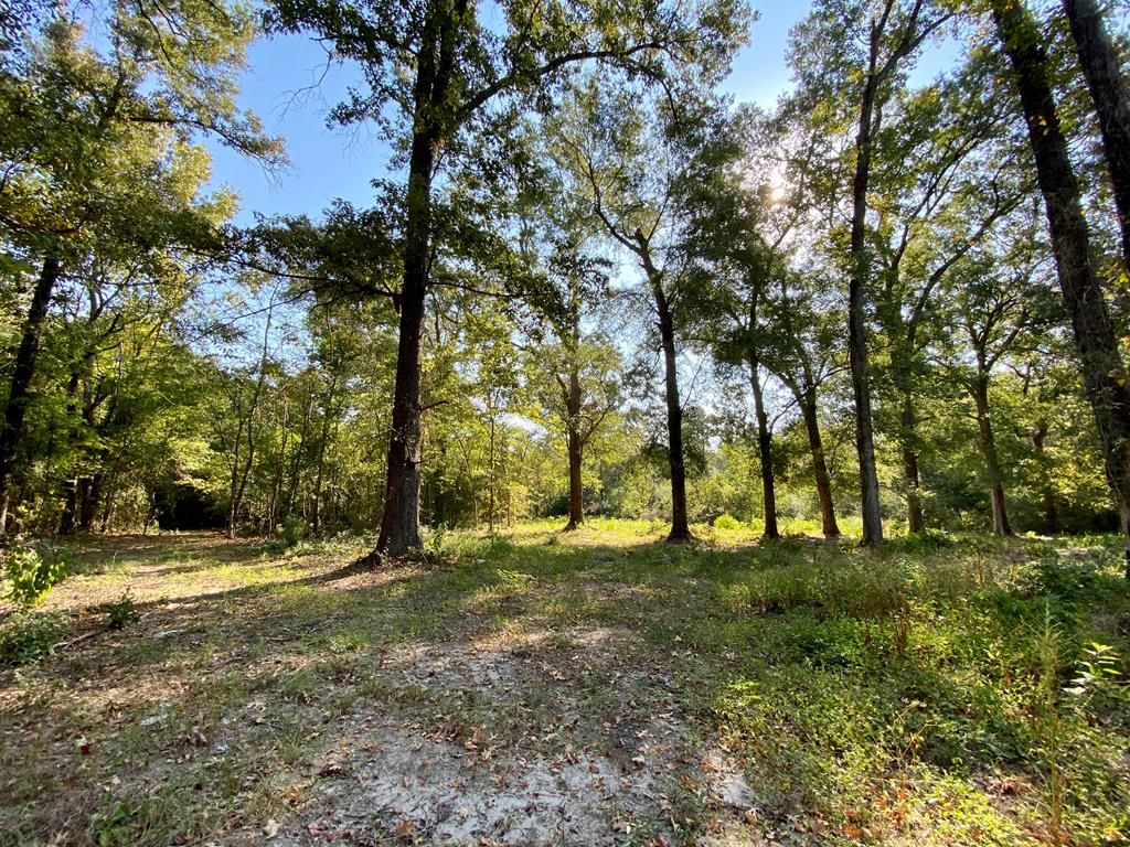 Lot 7 McKindree Rd, Lufkin, TX 75901 MLS 67716 Trulia