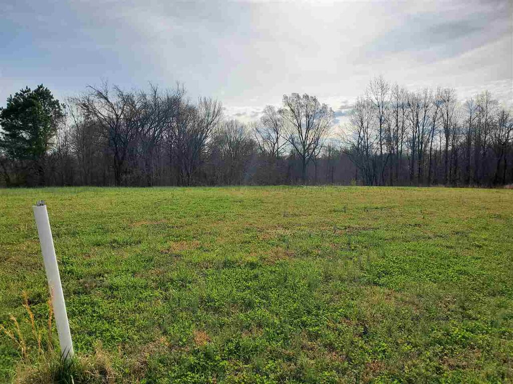 101 Chisholm Lake Rd, Ripley, TN 38063 Trulia