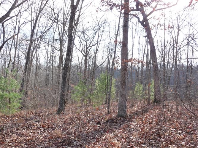 Kingsbridge Lane, Crossville, TN 38558 Trulia