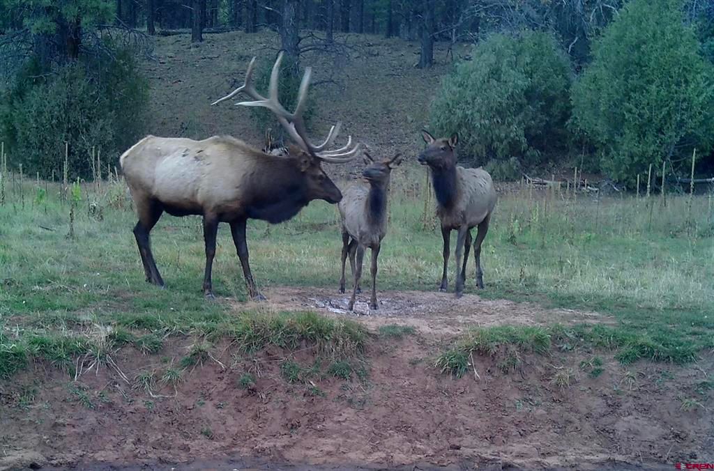 County Road 50, Ramah, NM 87321 MLS 805885 Trulia