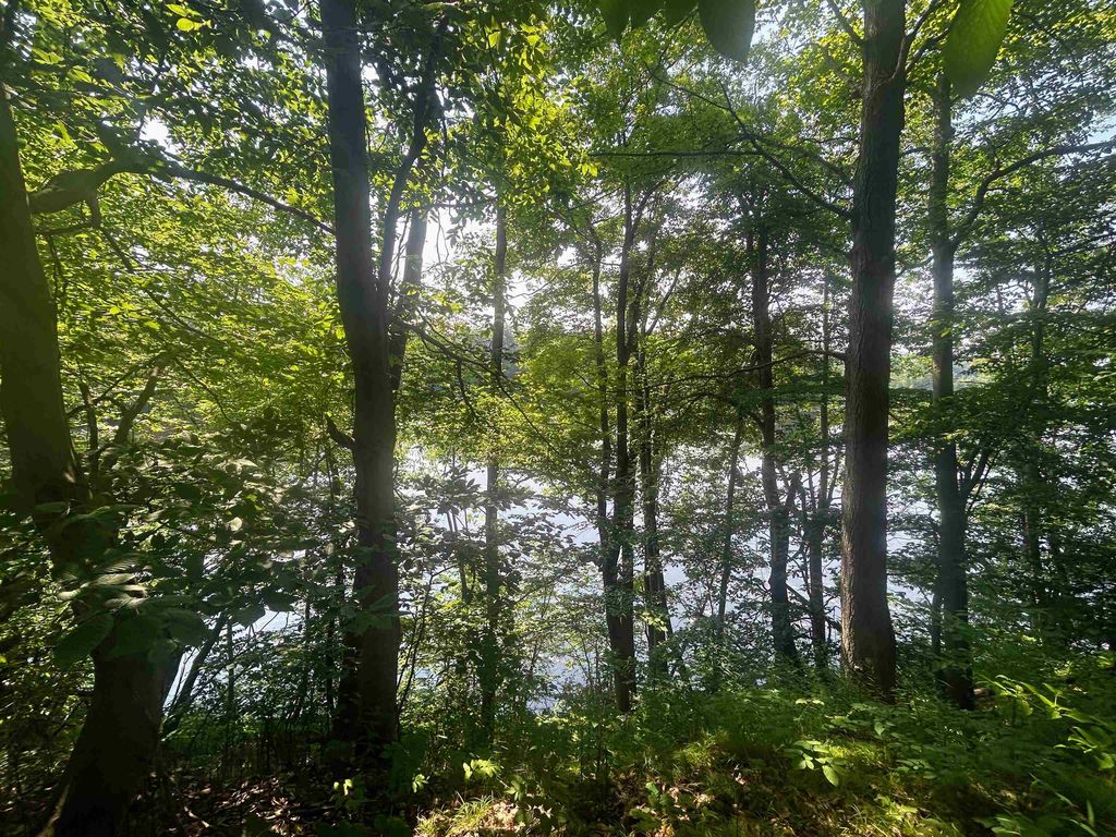 1055 Youngs Road, Springfield, VT 05156 MLS 4960685 Trulia